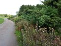 2014-10-02 16-00-13 Rando parc de la Courneuve CGn